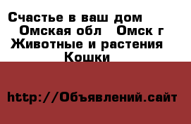 Счастье в ваш дом!!!!!! - Омская обл., Омск г. Животные и растения » Кошки   